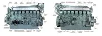 Дизельный генератор ТСС АД-1680С-Т400-1РМ8