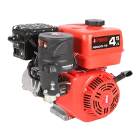 Бензиновый двигатель A-iPower AE230-19