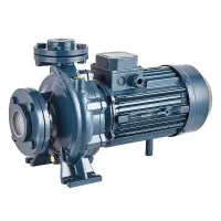 Насосный агрегат моноблочный фланцевый PURITY PSTC 32-250/55 (N)