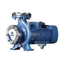 Моноблочный насос PURITY PW 100-200/220
