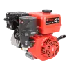 Бензиновый двигатель A-iPower AE230-19