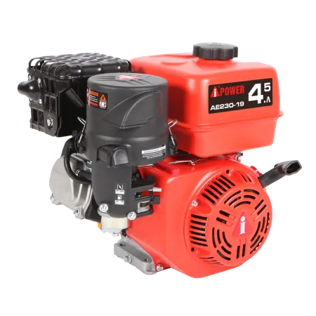 Бензиновый двигатель A-iPower AE230-19