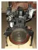 TSS Diesel TDK 66 4LT