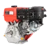 Бензиновый двигатель A-iPower AE390-25