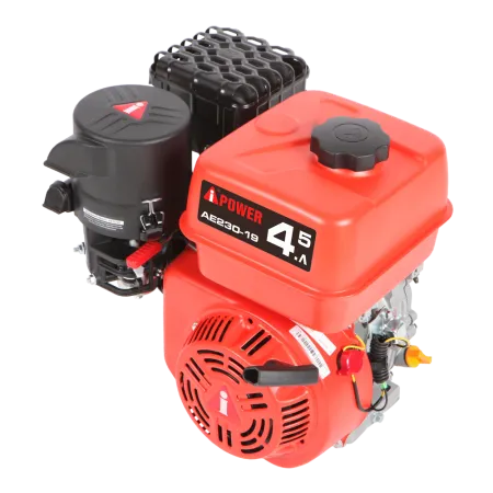 Бензиновый двигатель A-iPower AE230-19