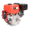 Бензиновый двигатель A-iPower AE420E-25